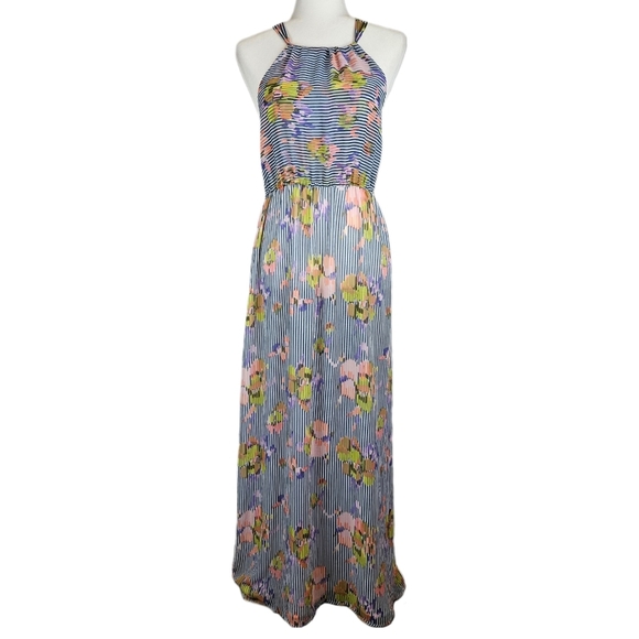 Striped Multicolor Blue Maxi Dress - Picture 7 of 7